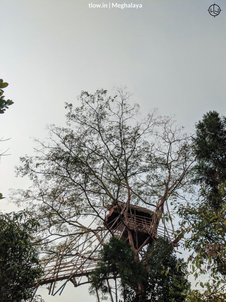Meghalaya tree house