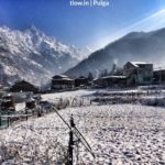 Pulga covered in snow