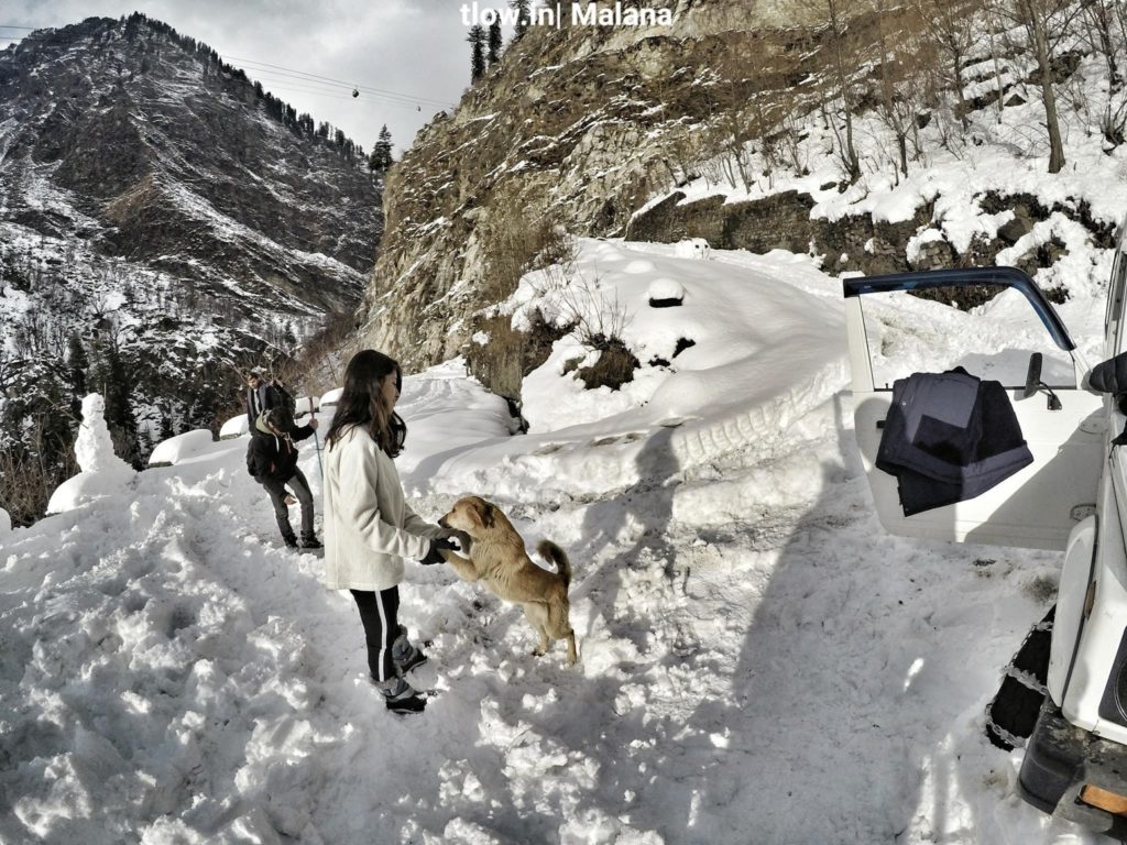 Winter vibe in Parvati Valley