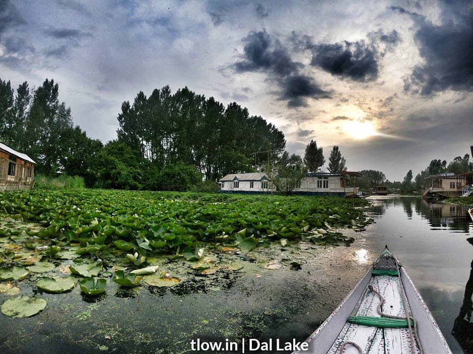 Dal lake Kashmir