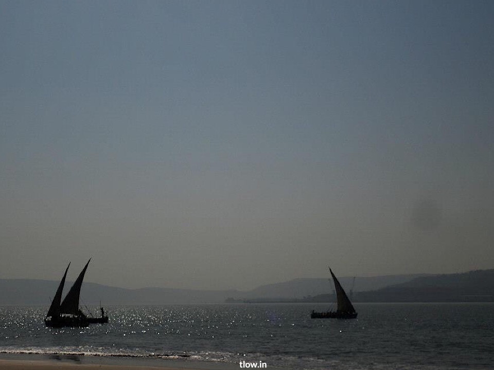 Jangra sail boats 