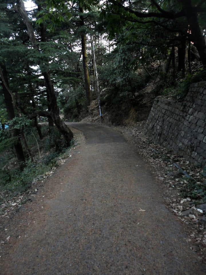 Walking trail to Daramkot 