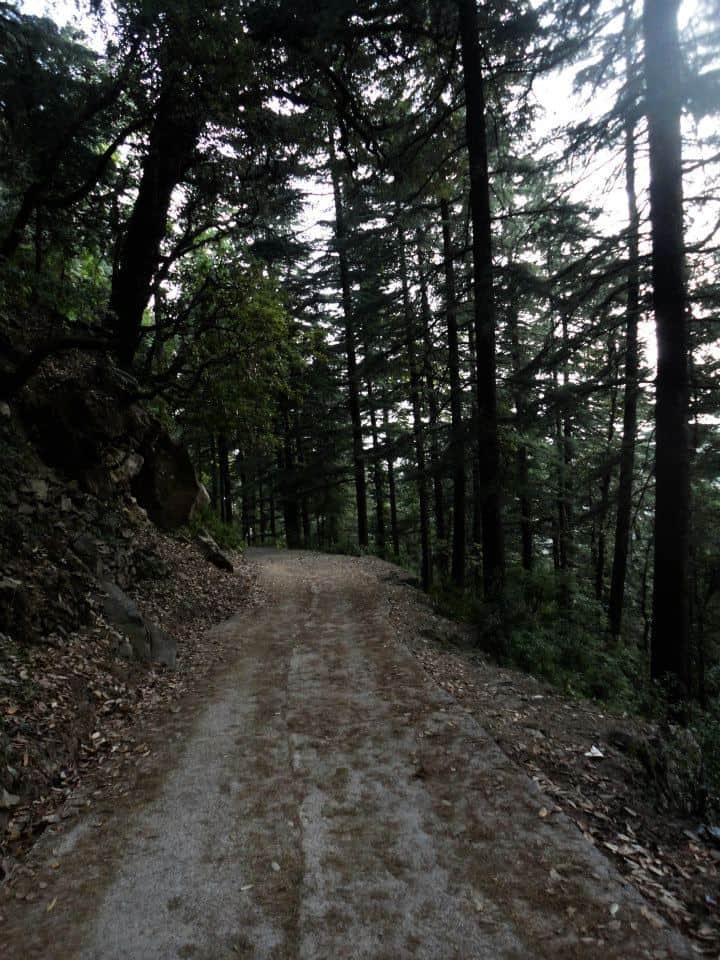 Walking trail to dharamkot 