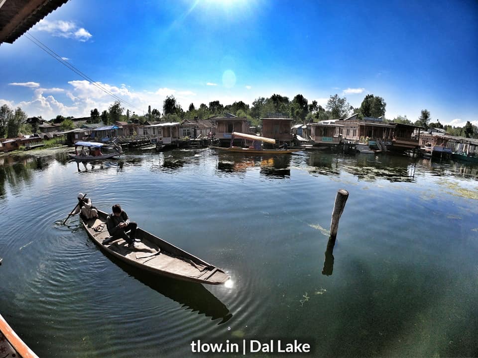 Shikhara boats at dal lake 