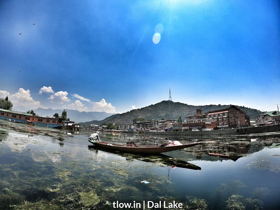 Villagers in Dal lake 