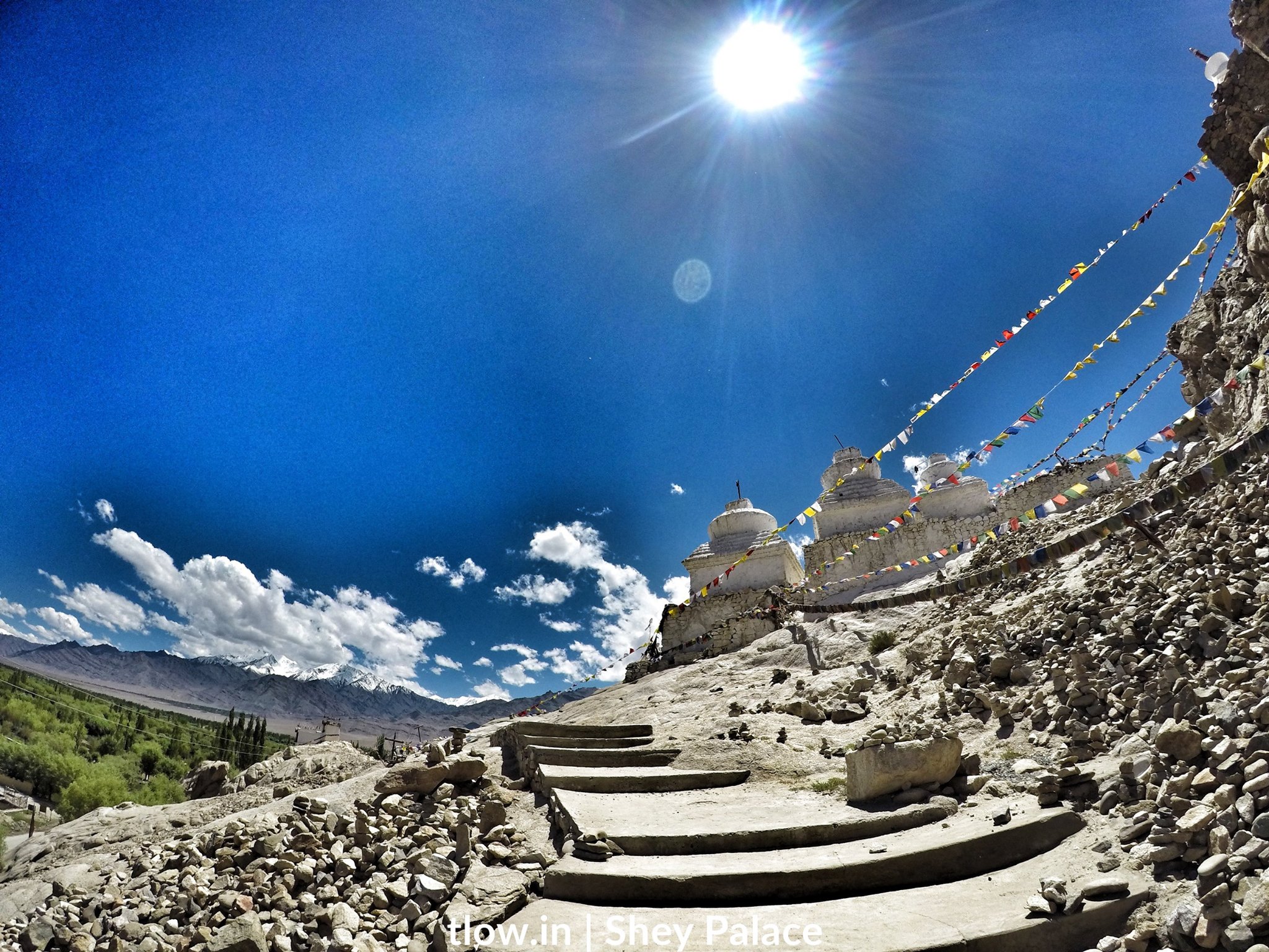 Shey palace Ladakh