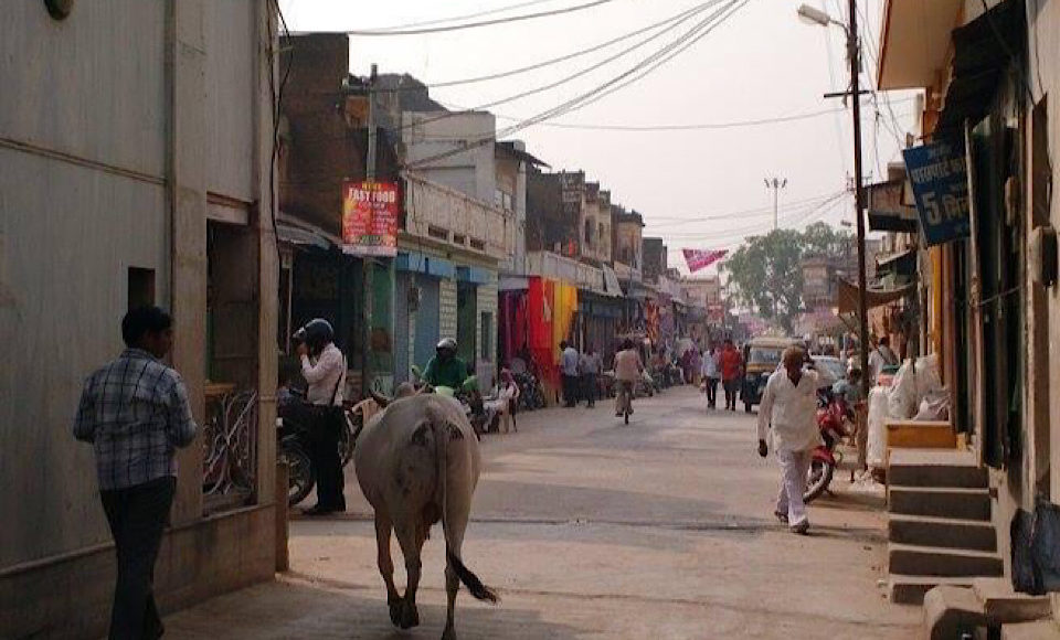 Streets of Rajasthan