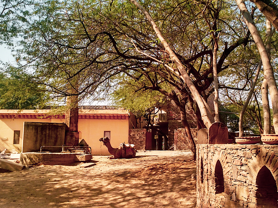 Rajasthan village life