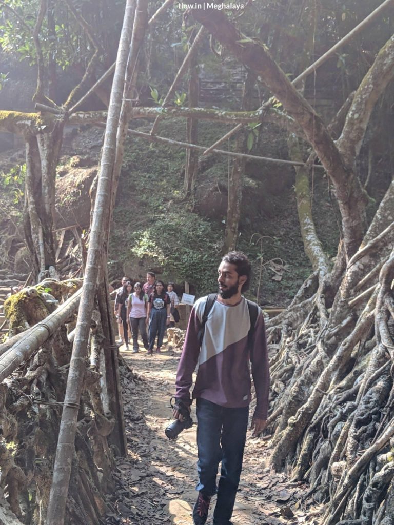 Single decker root bridge in Meghalaya