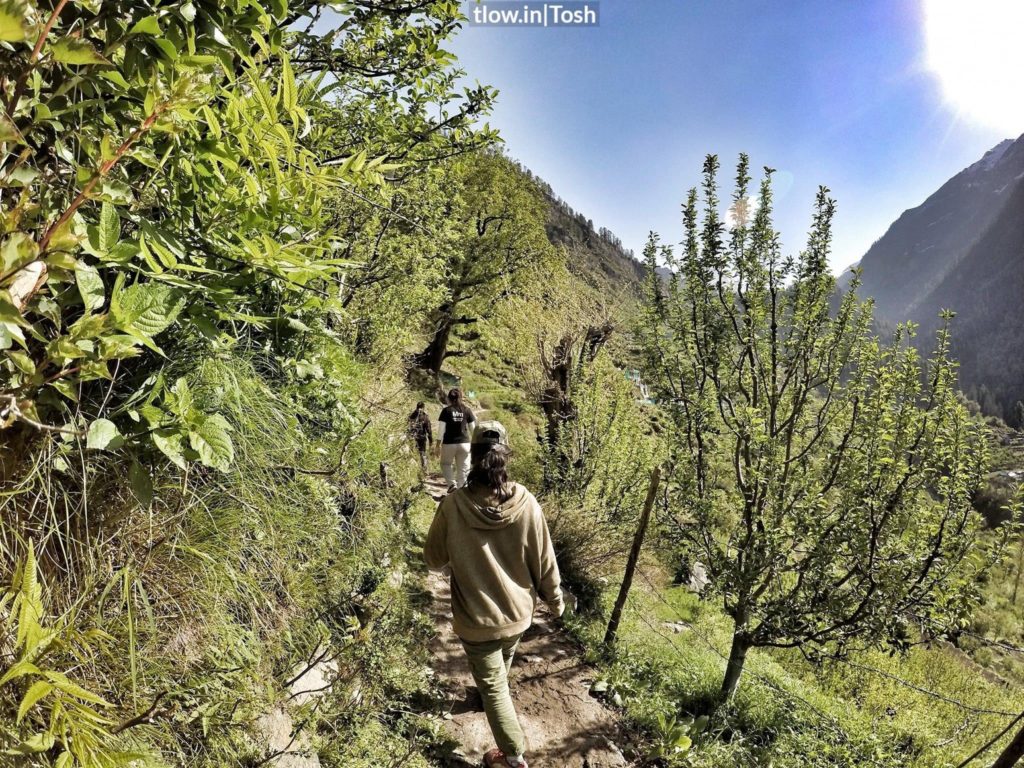 Hiking in Parvati valley