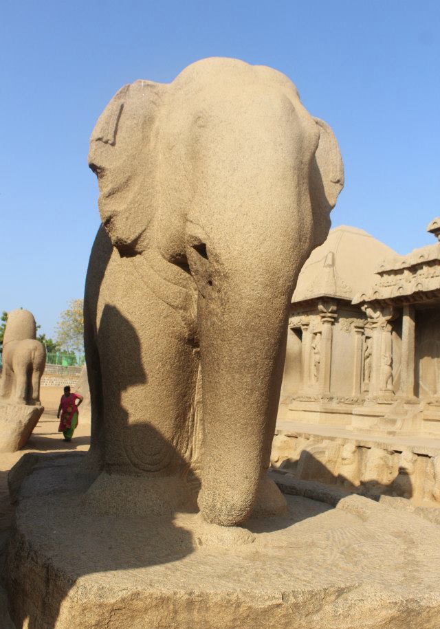 Elephant in Mahabalipuram