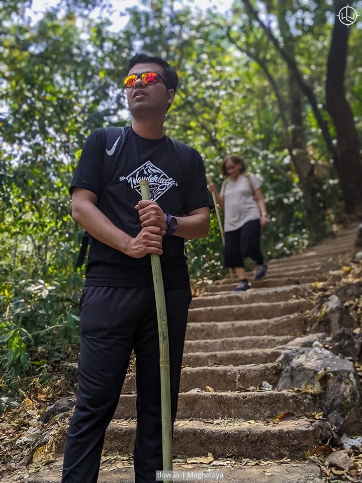 Bamboo stick along the hike
