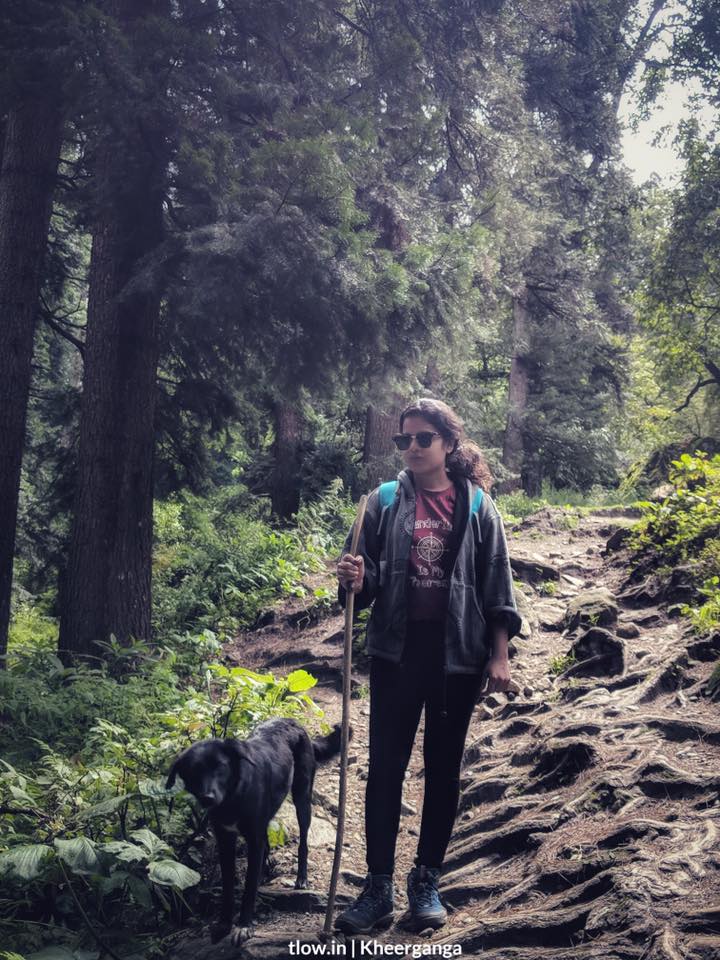 Hiking with a dog