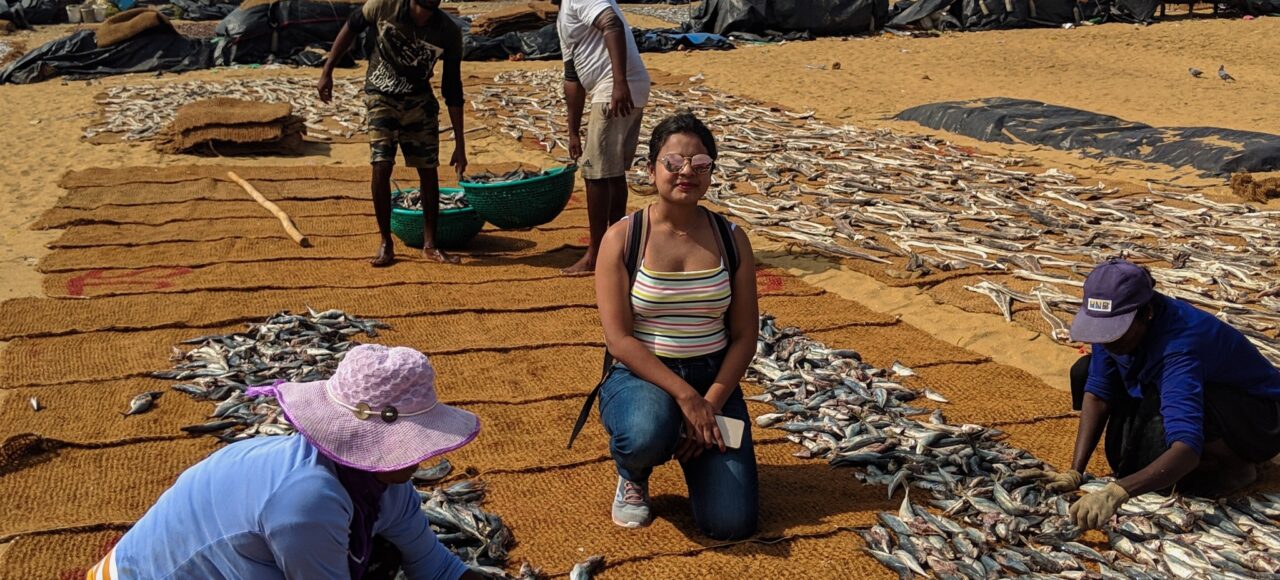 Negombo fish market Sri Lanka