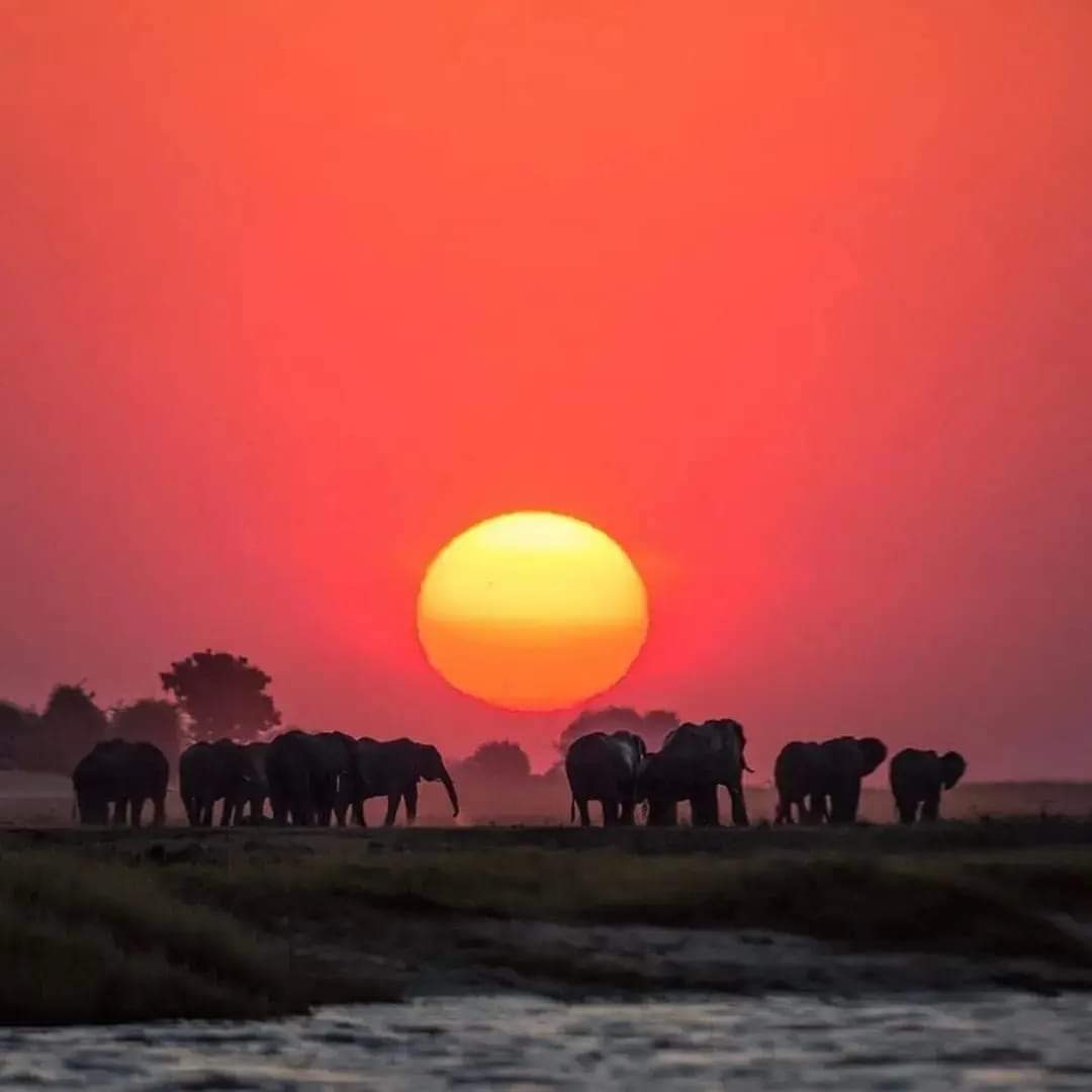 serengeti national park Tanzania