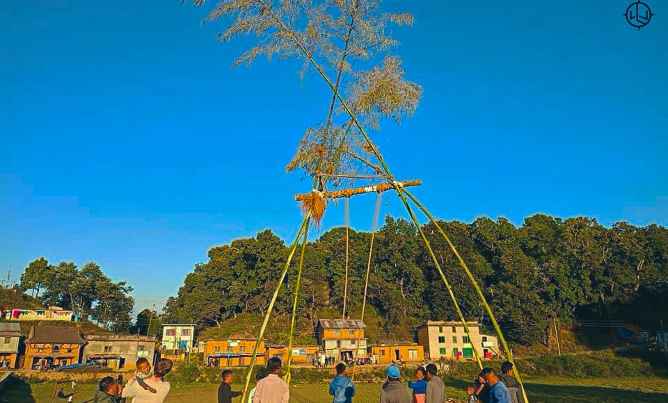 Bamboo swing Nepal