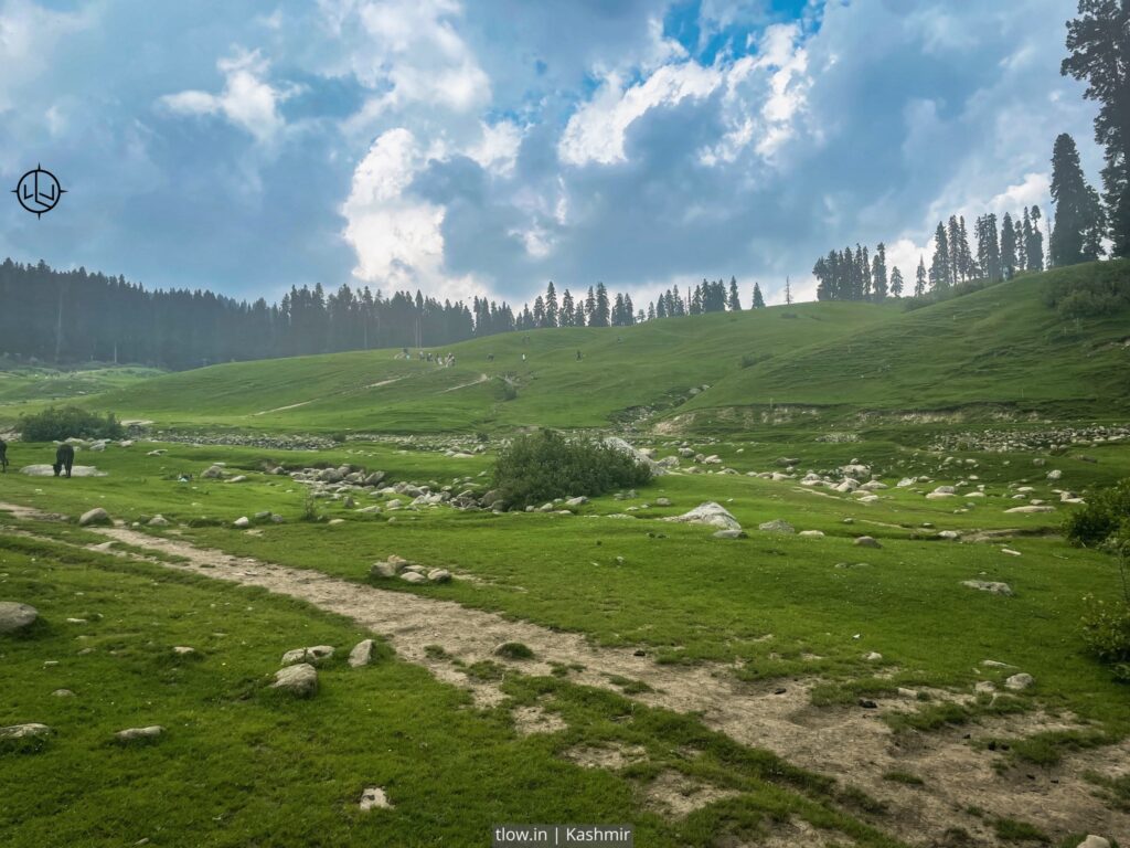 Dachigam Jammu and Kashmir