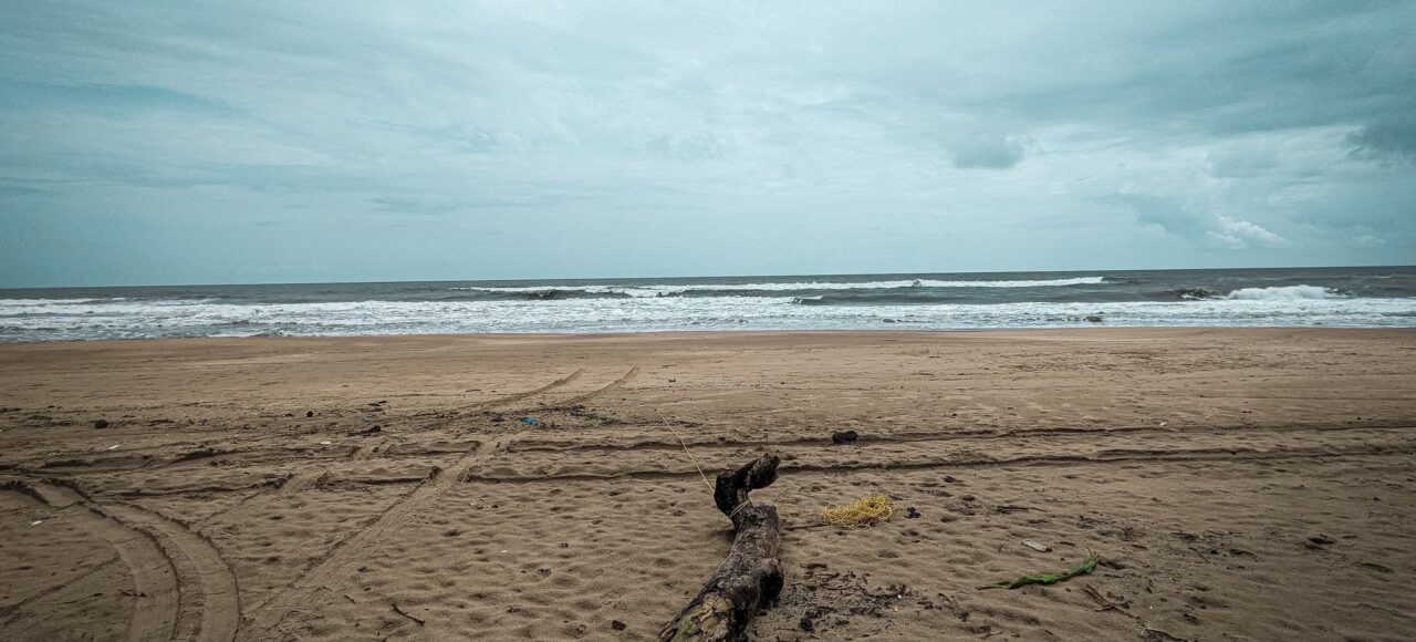 Beach in Goa Gulf Indians