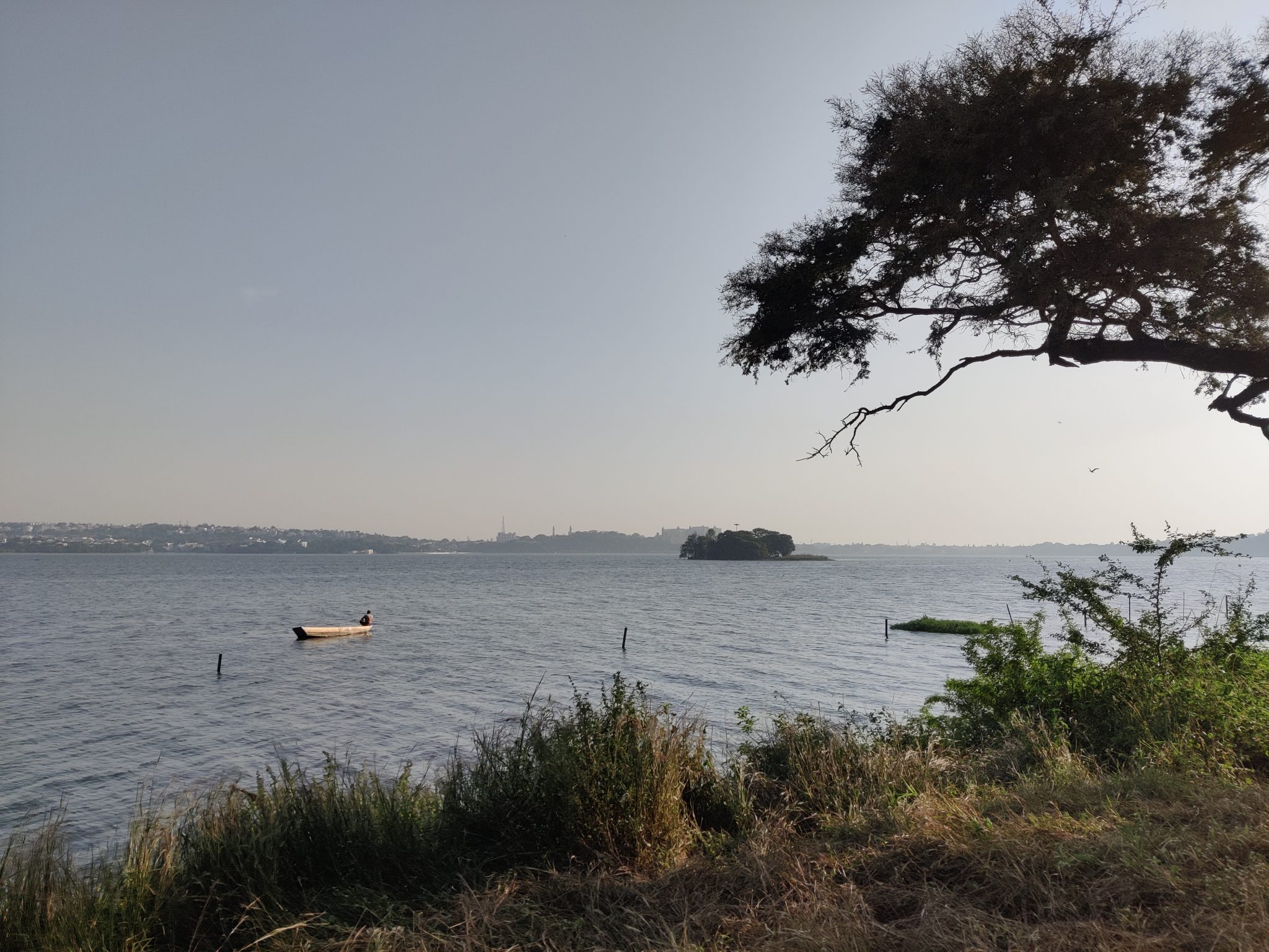This photograph is captured from a lank bank of a fisherman, fishing in the Lake early morning in Bhopal City.