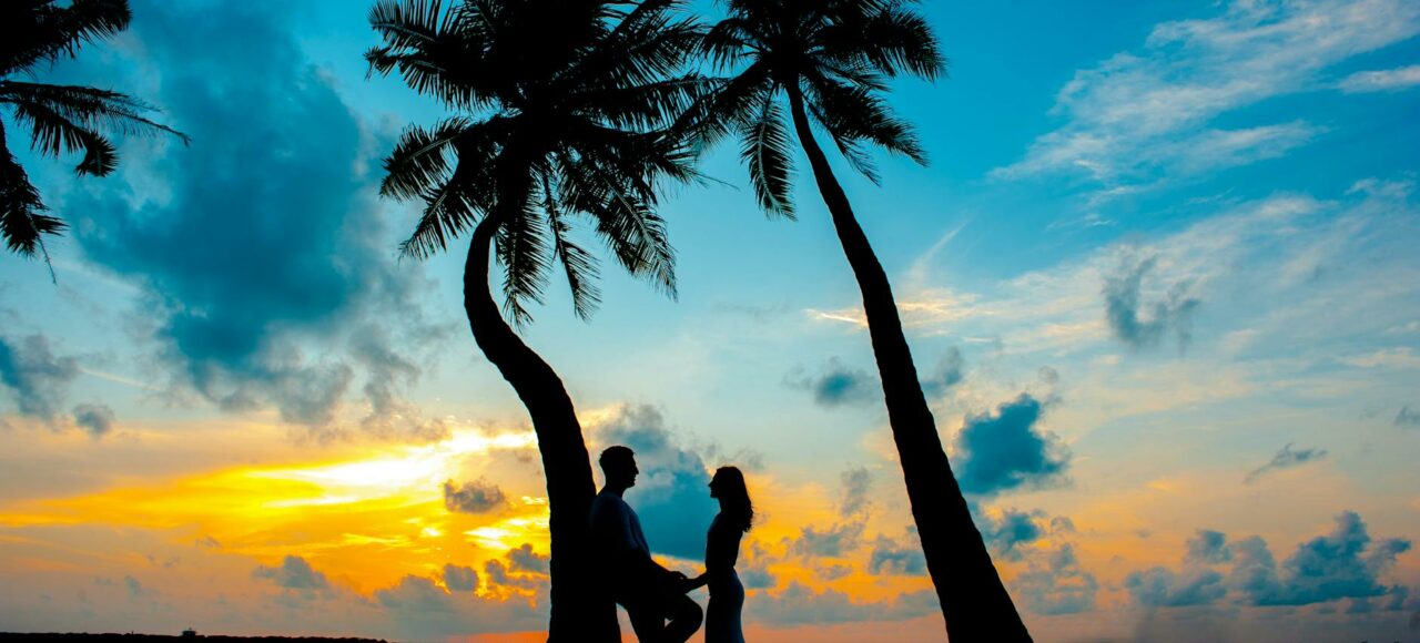 silhouette photo of male and female under palm trees