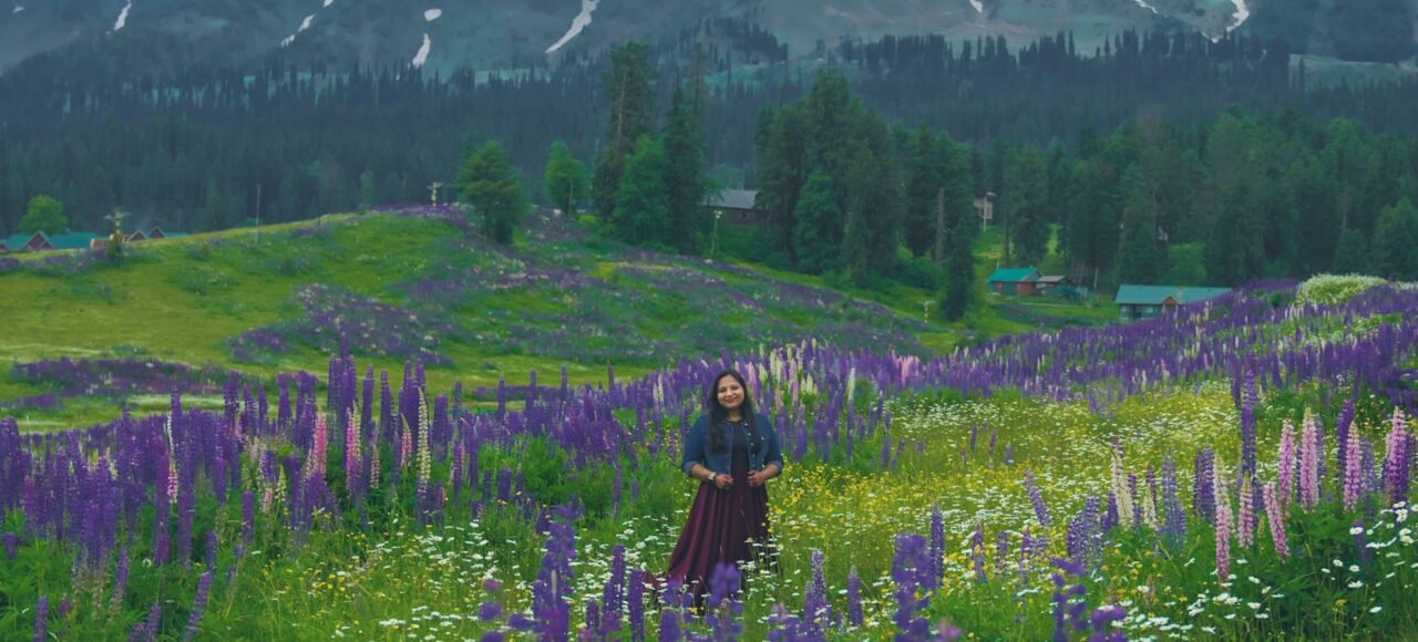 a woman in purple dress standing on a lavender flower field in gulmarg india