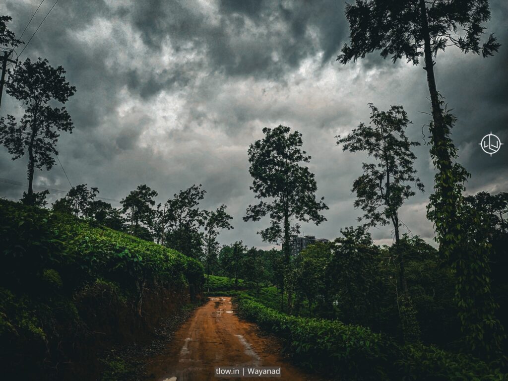 Wayanad Kerala