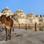 a cow standing in front of a palace