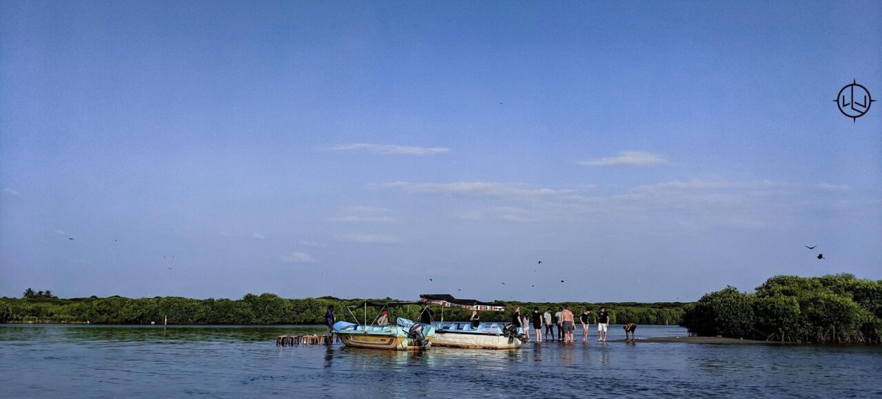 Negombo back waters