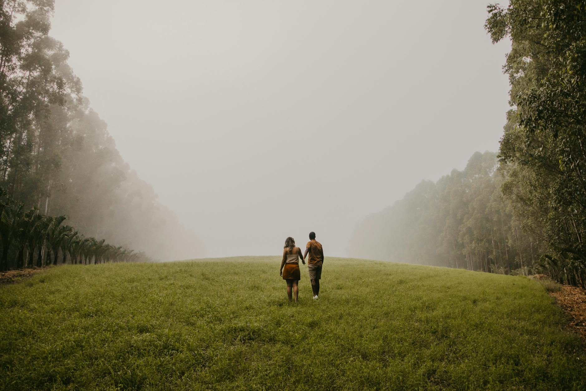back view of a couple holding hands walking on a meadow in fog