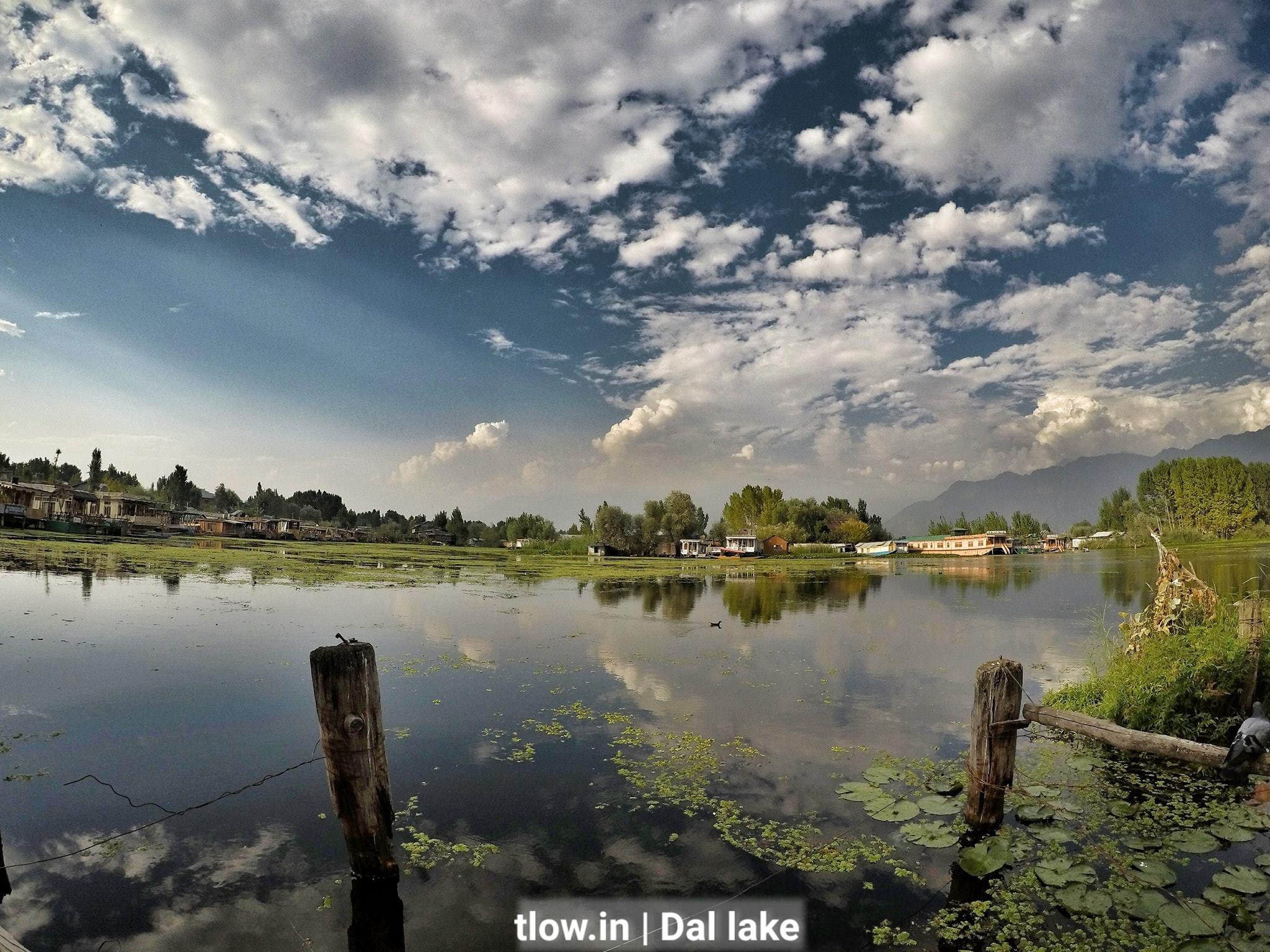 Dal lake