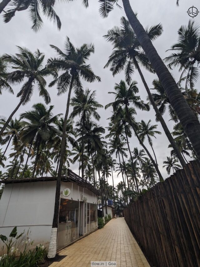 15 Fun & Safe Monsoon Places In Goa