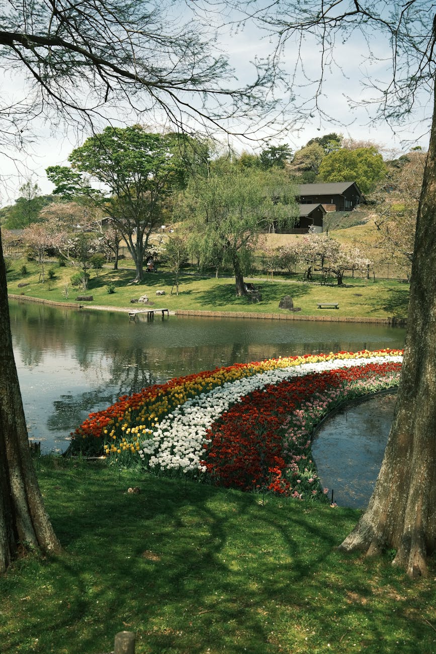flowers on the river in shizuoka in japan