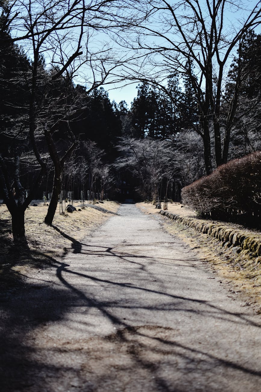a walkway at a park in nikko japan